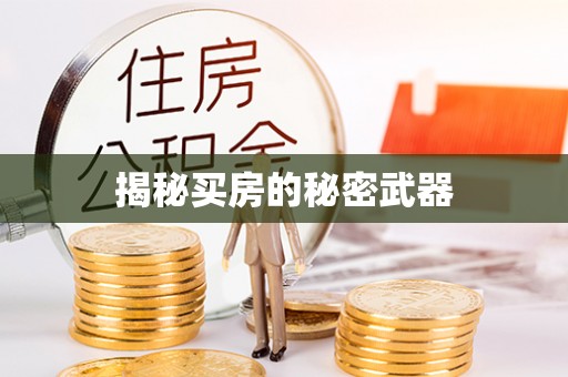 新民揭秘买房的秘密武器