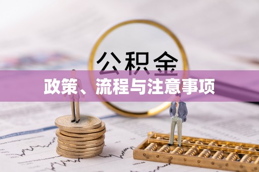 新民政策、流程与注意事项