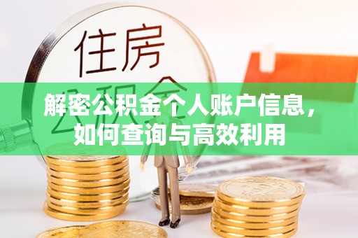 新民解密公积金个人账户信息，如何查询与高效利用