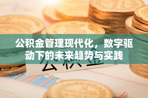 新民公积金管理现代化，数字驱动下的未来趋势与实践