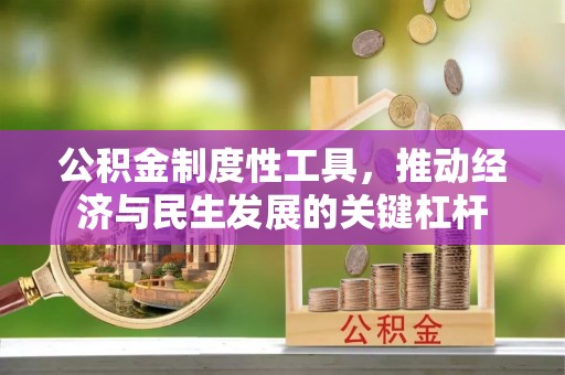 新民公积金制度性工具，推动经济与民生发展的关键杠杆