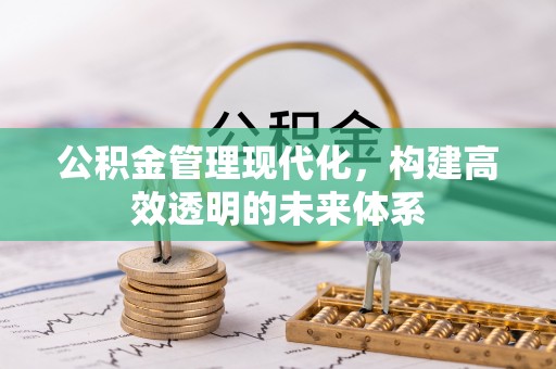 新民公积金管理现代化，构建高效透明的未来体系