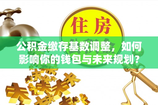 新民公积金缴存基数调整，如何影响你的钱包与未来规划？