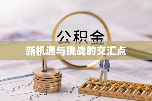 新民新机遇与挑战的交汇点