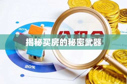 新民揭秘买房的秘密武器