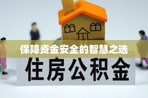 新民保障资金安全的智慧之选
