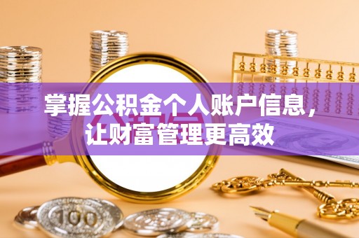 新民掌握公积金个人账户信息，让财富管理更高效