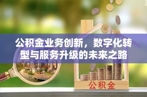 新民公积金业务创新，数字化转型与服务升级的未来之路