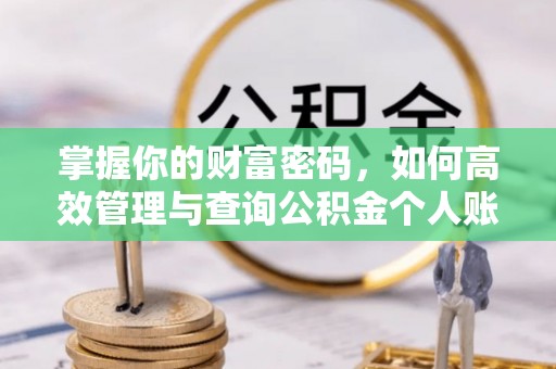 新民掌握你的财富密码，如何高效管理与查询公积金个人账户信息