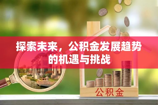 新民探索未来，公积金发展趋势的机遇与挑战