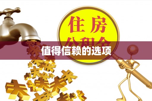 新民值得信赖的选项