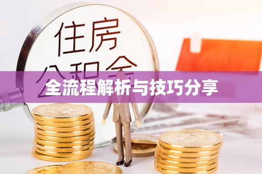 新民全流程解析与技巧分享